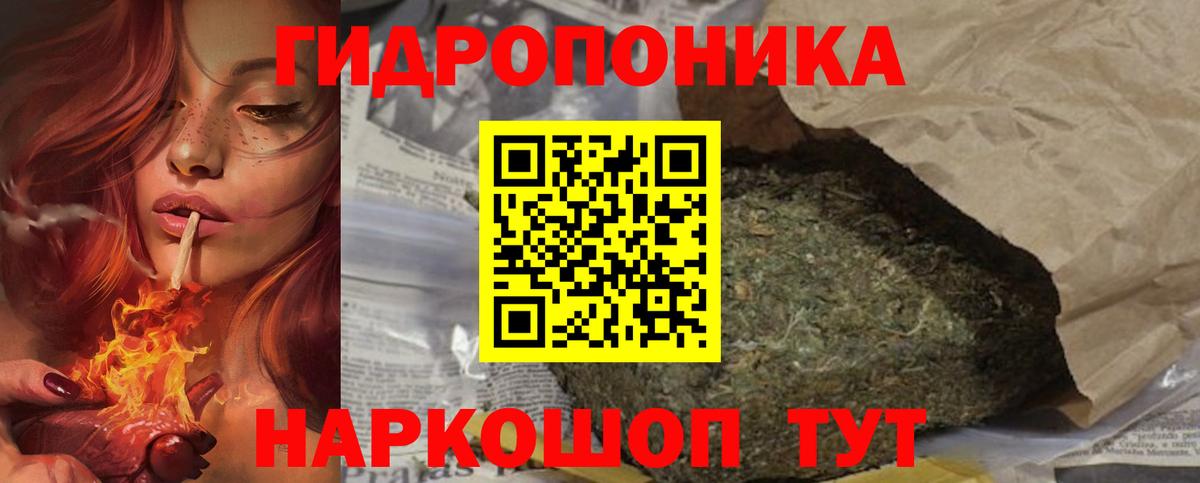 Конопля Bruce Banner Тобольск